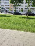 IMG_20260617_092829_813.jpg